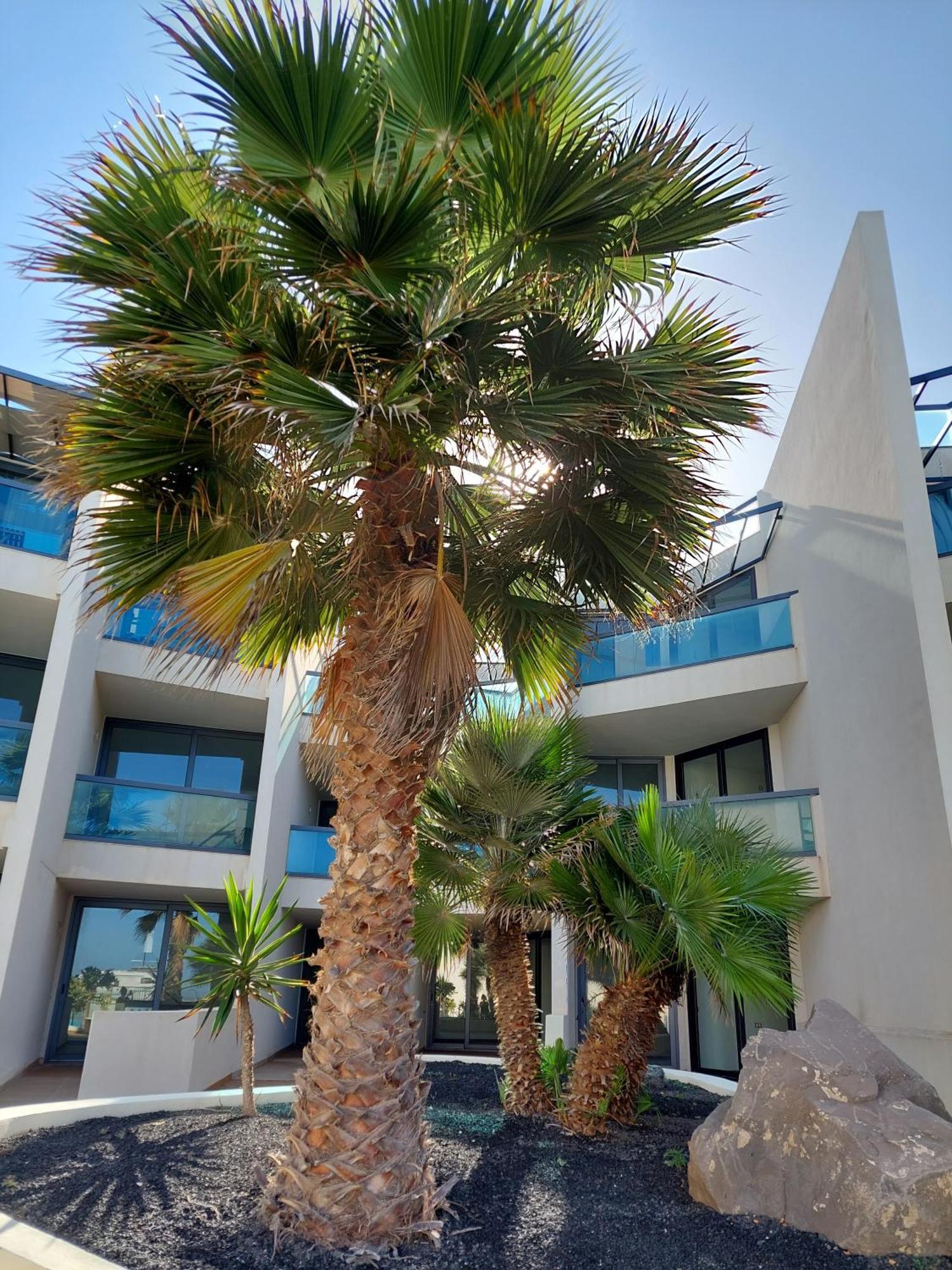 Sunset Spot Fuerteventura Cotillo Seaviews Premium Экстерьер фото